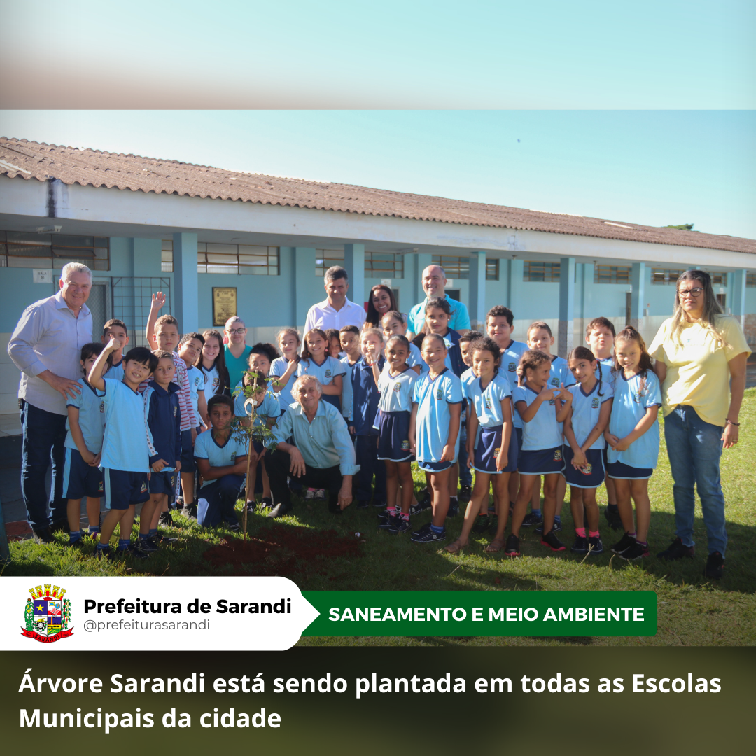 Árvore Sarandi está sendo plantada em todas as Escolas Municipais da cidade